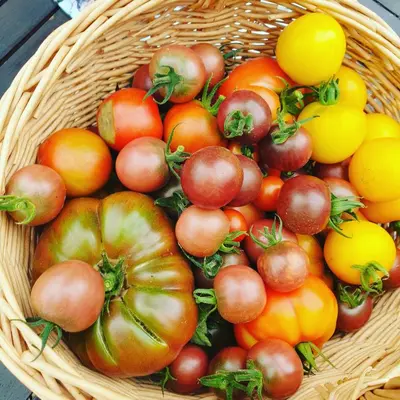 Nourriture dans la maison de vacances ou à proximité