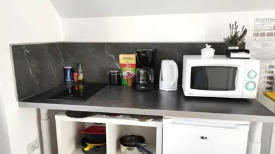 Cuisine ou kitchenette dans l'établissement Studio équipé au sein d'une fermette