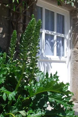 Jardin de l'établissement Le Pressoir, cottage de charme & jardin fabuleux à 800m de la mer - by Maison Melchior