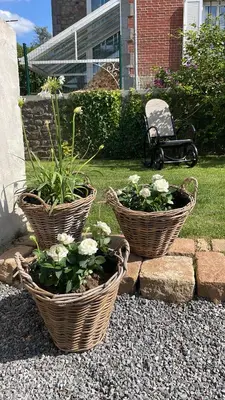 Jardin de l'établissement -Les Petites Planches- Gîte Familial entre Terre & Mer