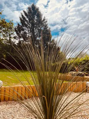 Jardin de l'établissement Le Refuge: Maison détente et spa