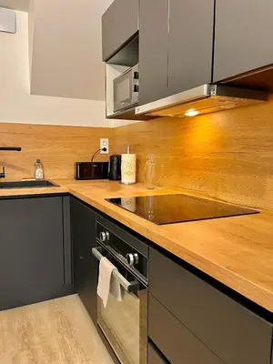 Cuisine ou kitchenette dans l'établissement T2 1er LE VICTOR HUGO