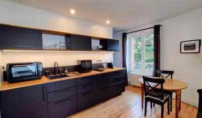 Cuisine ou kitchenette dans l'établissement Appartement 1 Maison Dior, centre, plage à 500 m