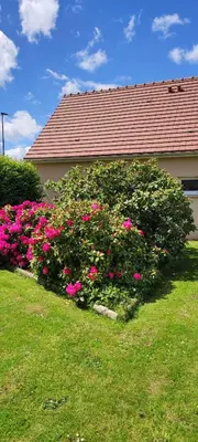 Jardin de l'établissement Le Ptit Normand entre Ville & Plages