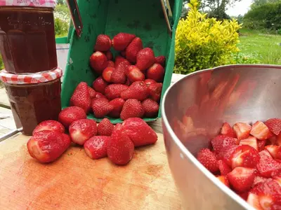 Nourriture dans la maison de vacances ou à proximité