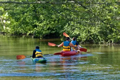 Vue sur la rivière ou le fleuve situé(e) à proximité de la maison de vacances