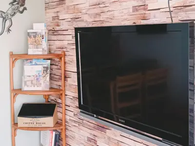 Télévision ou salle de divertissement dans l'établissement La Salamandre