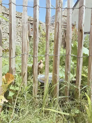 Jardin de l'établissement Gite L'Erable Normand