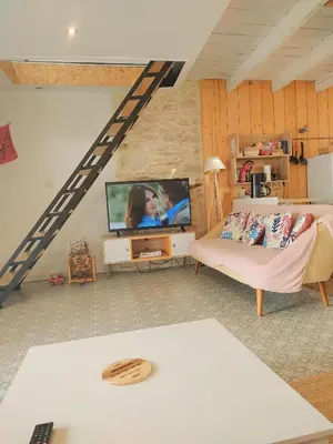 Télévision ou salle de divertissement dans l'établissement Vue mer Loft Wifi TV Holidays