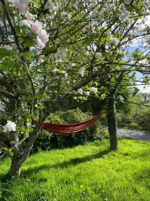 Jardin de l'établissement Gîte à la campagne