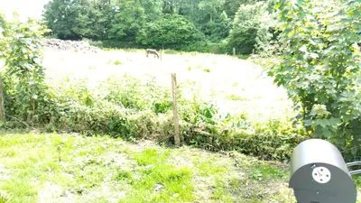 Jardin de l'établissement gite la campagne doré