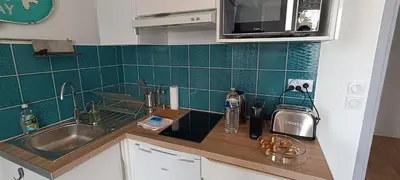 Cuisine ou kitchenette dans l'établissement Véga-SILS - Studio 26 M2