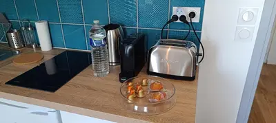 Cuisine ou kitchenette dans l'établissement Véga-SILS - Studio 26 M2
