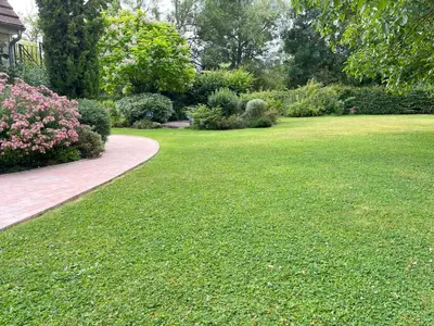 Jardin de l'établissement La Chambre du Cottage B&B
