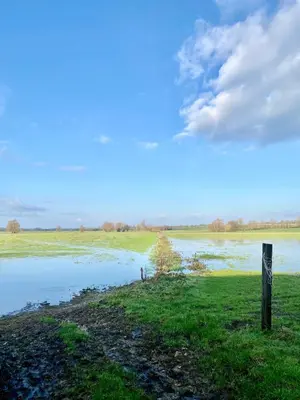 Paysage naturel près de la maison de vacances