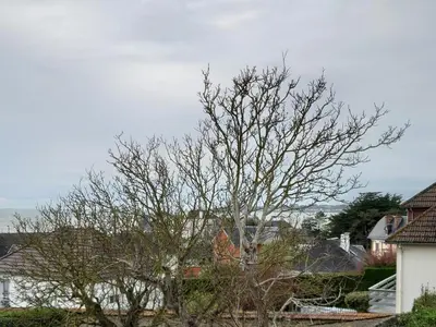 Plan de l'établissement Appartement les hirondelles
