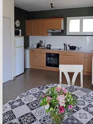 Cuisine ou kitchenette dans l'établissement Appartement les hirondelles