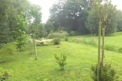 Jardin de l'établissement Villa la Salamandre - Jullouville