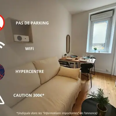 Le Cocon du Château - Appt 4pers - Hypercentre