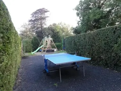Tennis de table au sein de l'établissement Maison charmante à Saint-Martin-des-Entrées ou à proximité