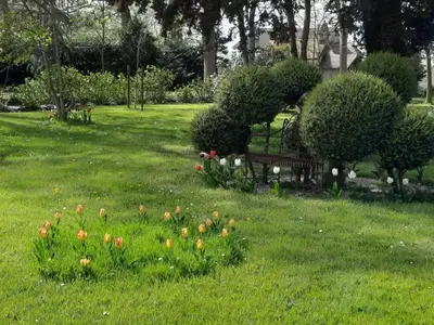 Jardin de l'établissement Maison charmante à Saint-Martin-des-Entrées