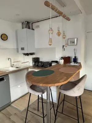 Cuisine ou kitchenette dans l'établissement Grand Studio Balnéaire