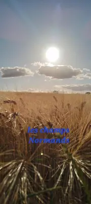 Paysage naturel près de la maison de vacances
