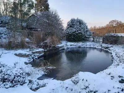 L'établissement Gîte en pleine nature en hiver