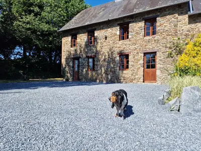 Animal ou animaux domestique(s) séjournant avec des clients dans l'établissement La Maison du Boscq