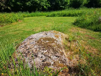 Paysage naturel près de la tente de luxe
