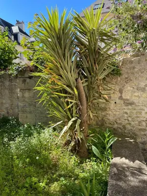 Jardin de l'établissement Le Nid d Abbaye