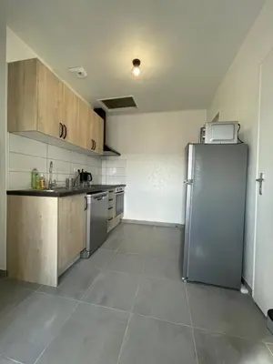 Cuisine ou kitchenette dans l'établissement Appartement rénové tout équipé, centre ville, proche de la gare et commerce