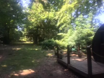 Jardin de l'établissement Unique & serene 1-Bed Cabin close to Domfront