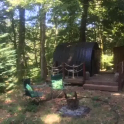 Unique & serene 1-Bed Cabin close to Domfront
