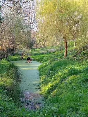 Jardin de l'établissement ricochets