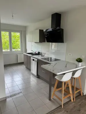 Cuisine ou kitchenette dans l'établissement Appartement charmant