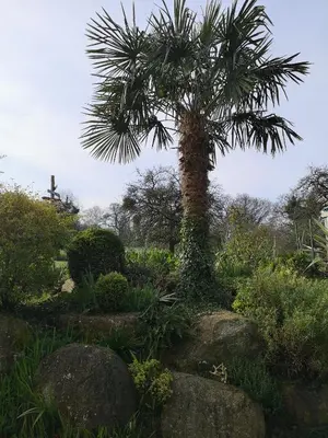 Jardin de l'établissement L'étable buissonnière