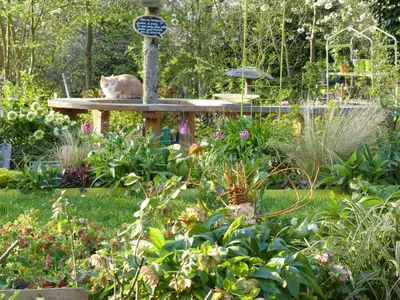 Jardin de l'établissement Maison de charme normande avec jardin et WiFi - FR-1-497-220