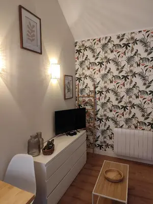 Télévision ou salle de divertissement dans l'établissement Studio de la seine