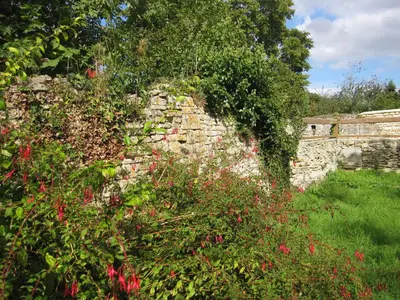 Jardin de l'établissement Maison avec grand jardin pour 15 couchages en Normandie