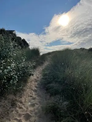 Plan de l'établissement Appartement au pied des dunes