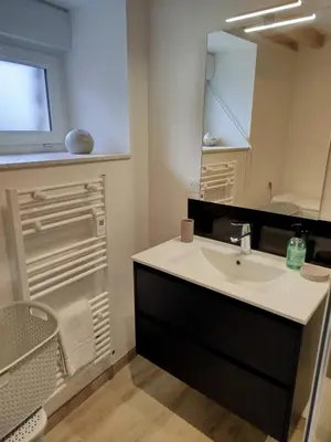 Salle de bains dans l'établissement Le Pommier Gite neuf avec parking privé clos