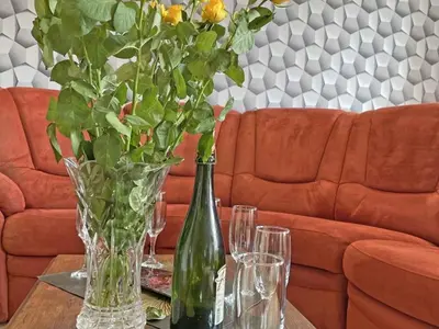 Coin salon dans l'établissement Maison restaurée avec charme à Domfront, animaux admis, wifi, près des pistes cyclables - FR-1-497-201