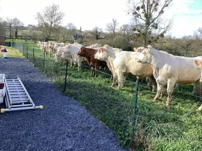Plan de l'établissement Maison de campagne entièrement rénovée au calme