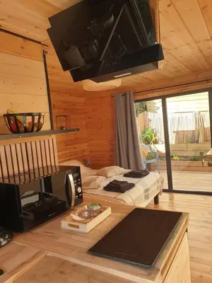 Cuisine ou kitchenette dans l'établissement Studio cabane