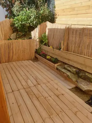 Plan de l'établissement Studio cabane