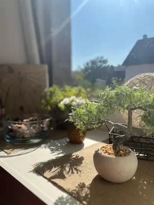 Jardin de l'établissement Le Gite de la Menuiserie