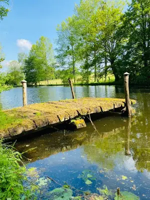 Paysage naturel près de l'appartement