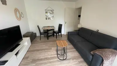 Télévision ou salle de divertissement dans l'établissement Studio avec jardin centre ville Cabourg La Roseraie