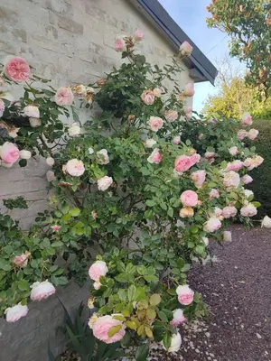 Jardin de l'établissement Gîte Bienvenue chez Naty